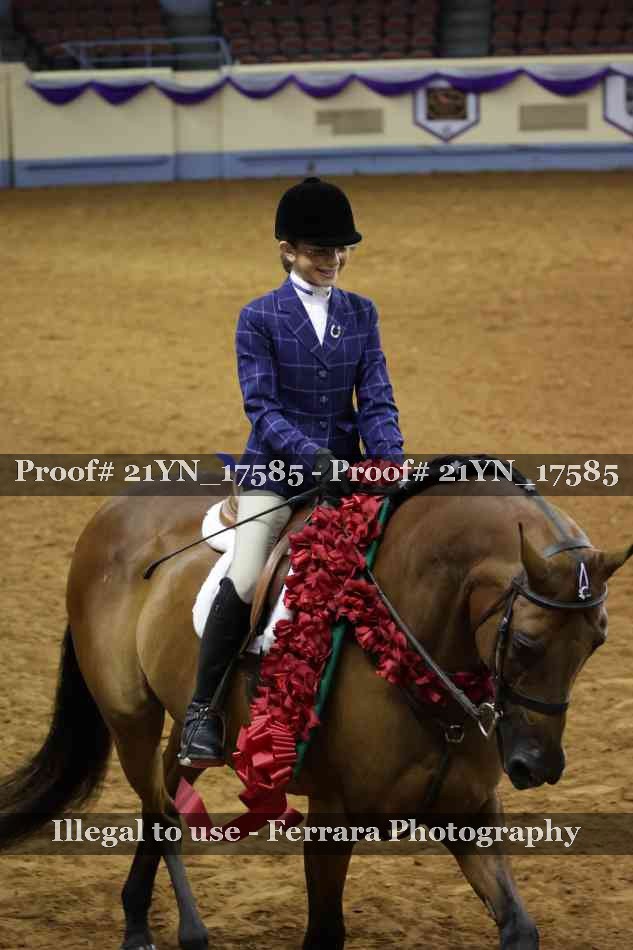 Proof Number 21YN_17585