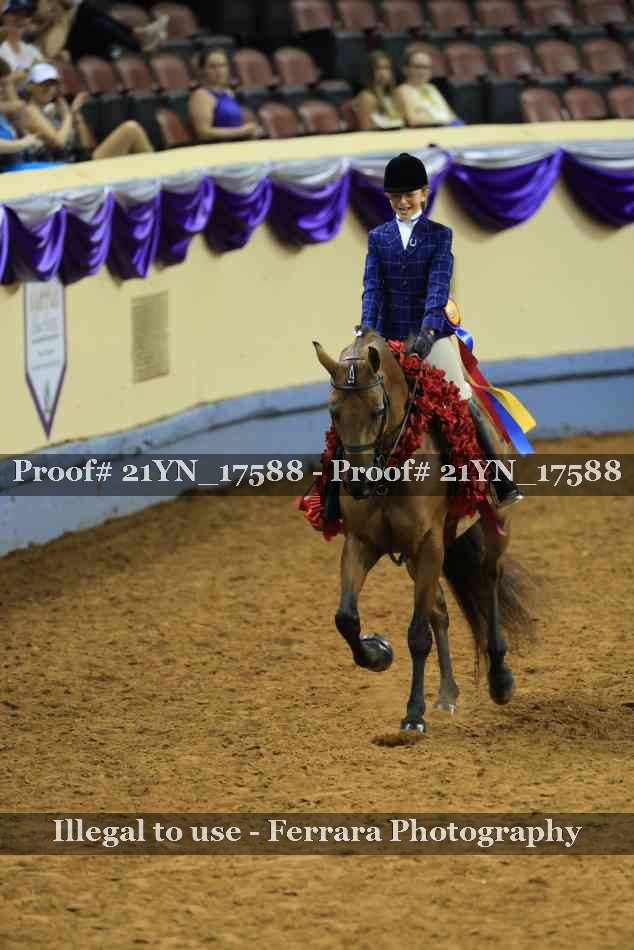 Proof Number 21YN_17588