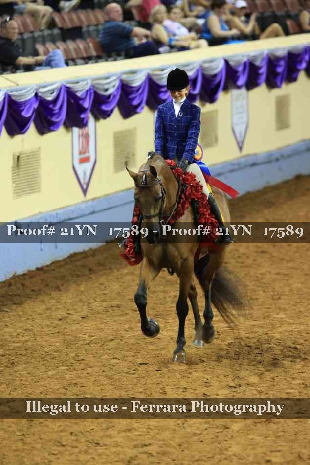 Proof Number 21YN_17589