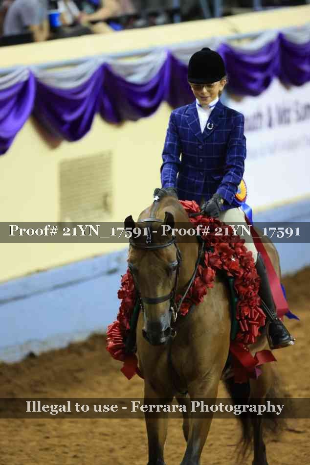 Proof Number 21YN_17591