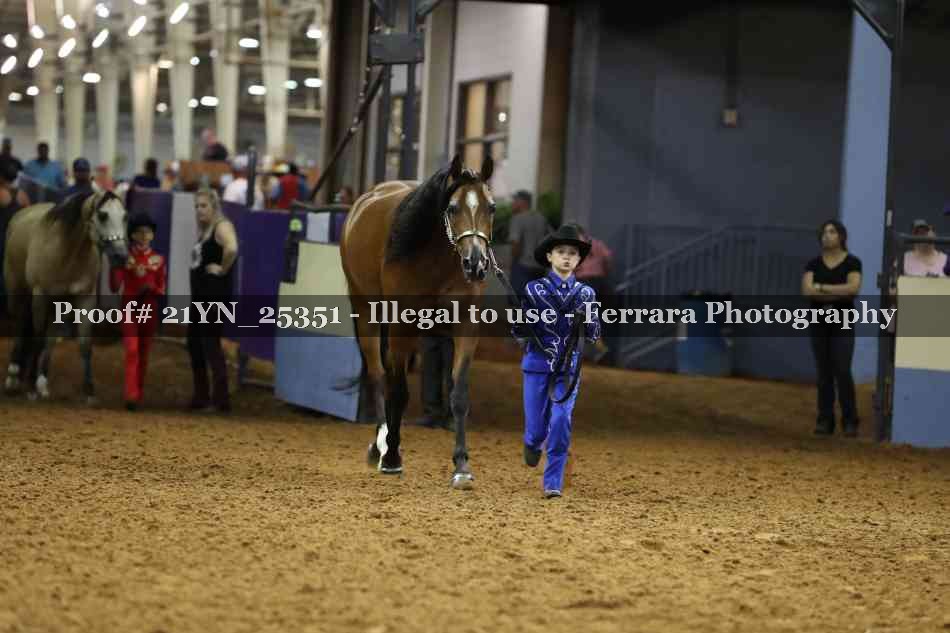 Proof Number 21YN_25351