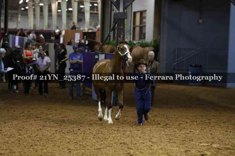 Proof Number 21YN_25387
