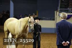 21YN_25529 thumbnail