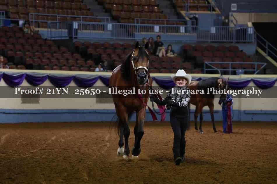 Proof Number 21YN_25650