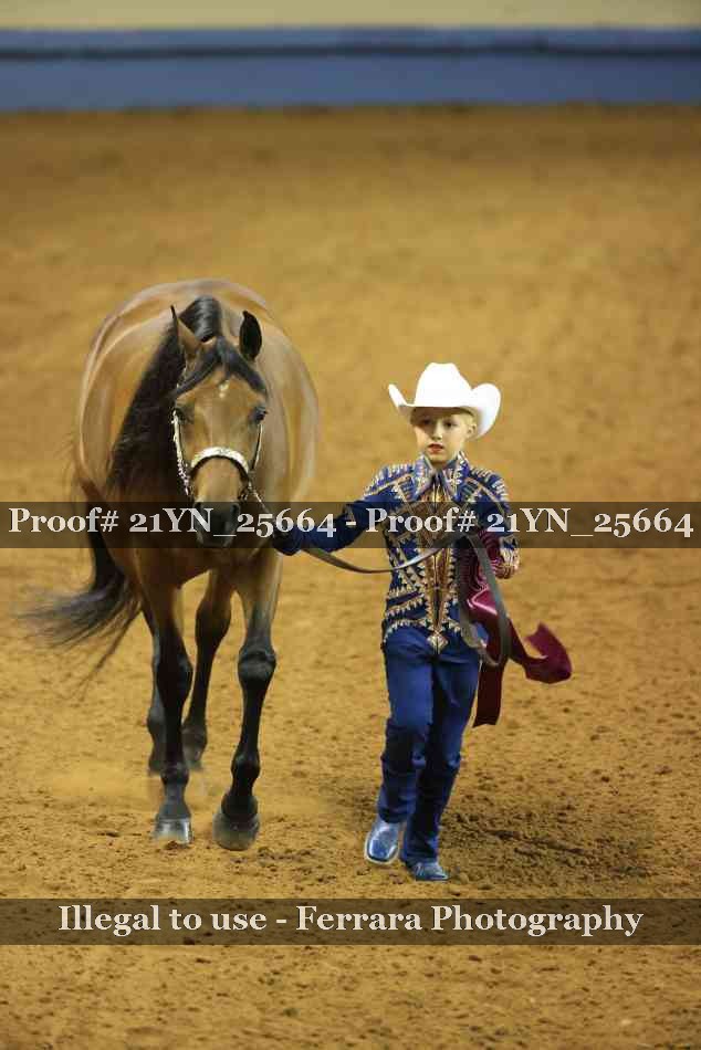 Proof Number 21YN_25664