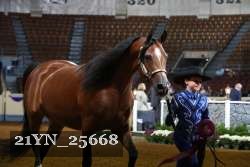 21YN_25668 thumbnail