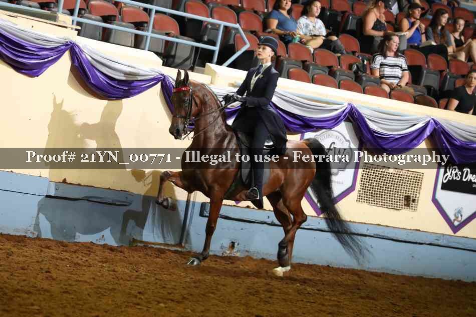 Proof Number 21YN_00771