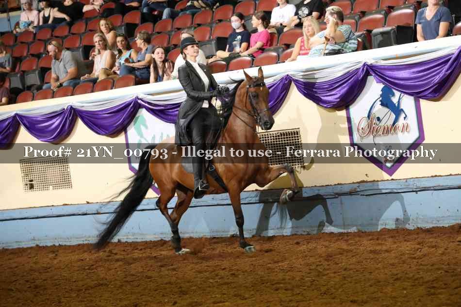 Proof Number 21YN_00793