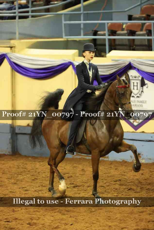 Proof Number 21YN_00797