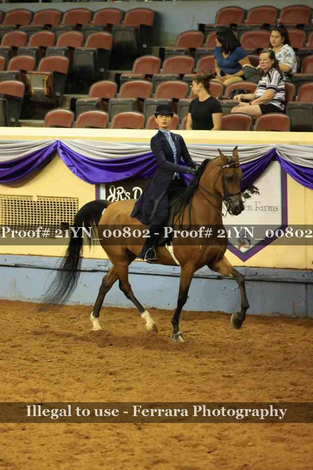 Proof Number 21YN_00802