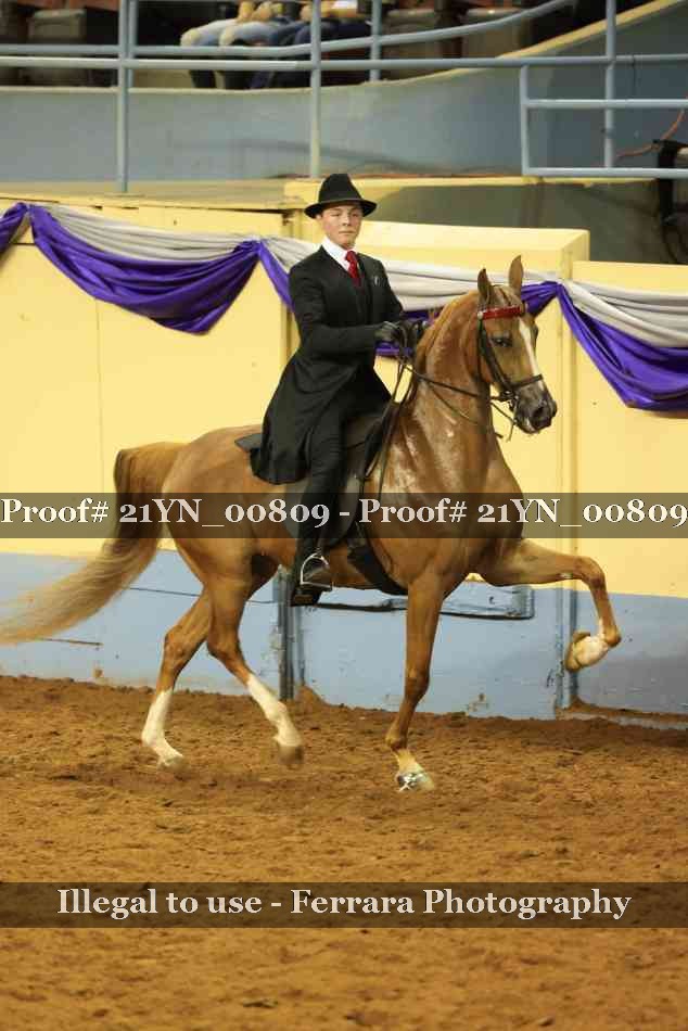 Proof Number 21YN_00809