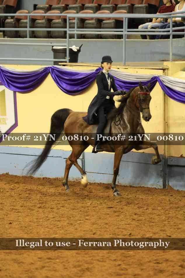 Proof Number 21YN_00810