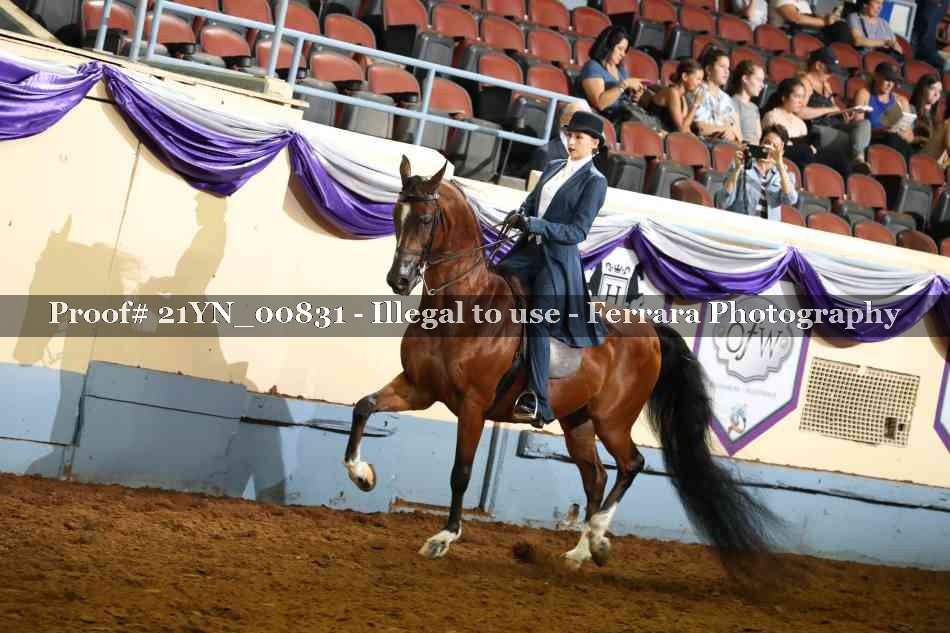 Proof Number 21YN_00831