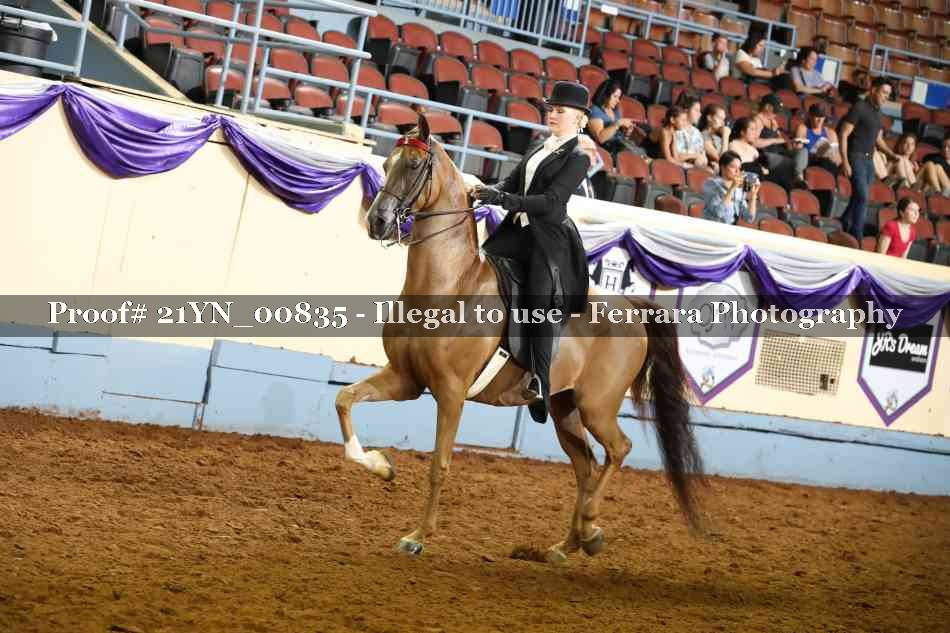 Proof Number 21YN_00835