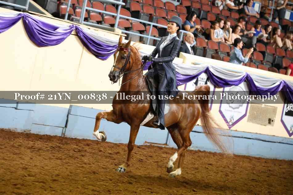Proof Number 21YN_00838