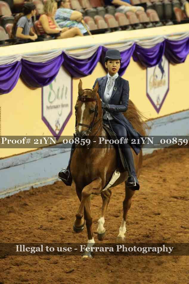 Proof Number 21YN_00859