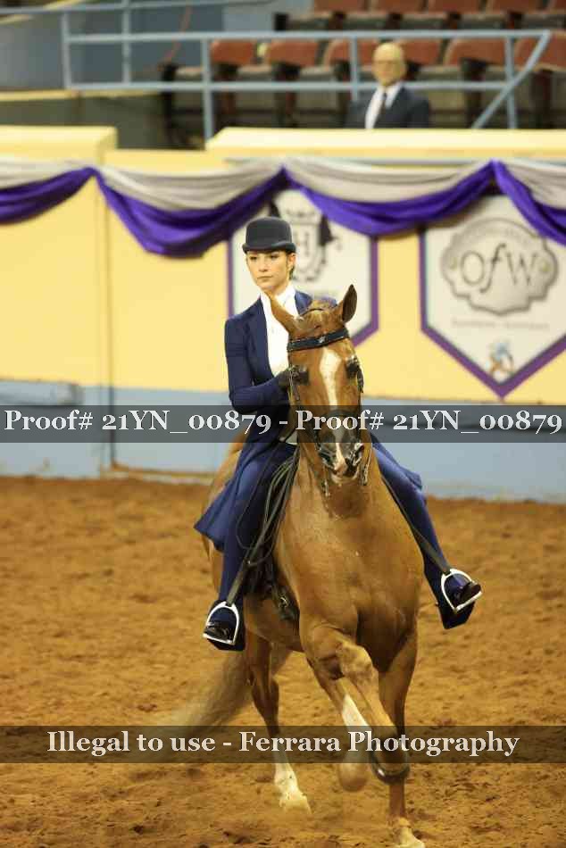 Proof Number 21YN_00879