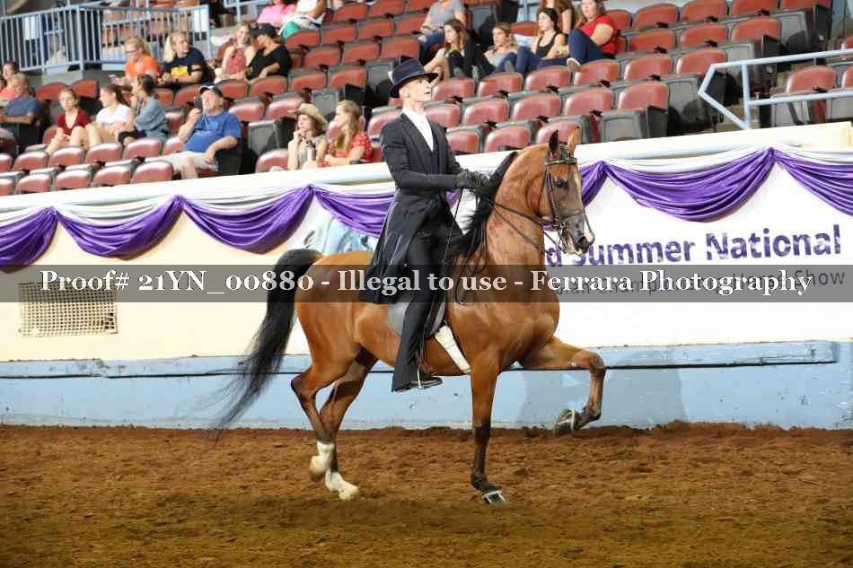 Proof Number 21YN_00880