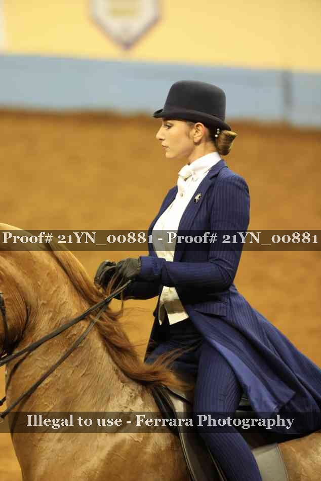 Proof Number 21YN_00881