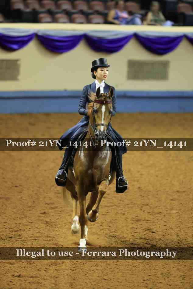 Proof Number 21YN_14141