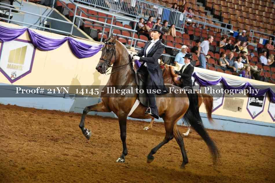 Proof Number 21YN_14145