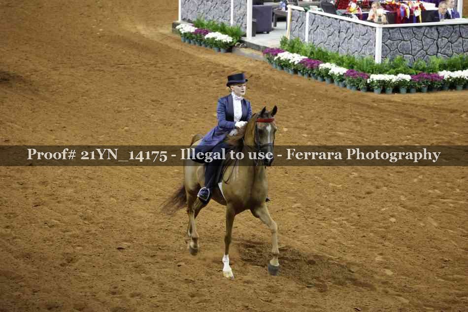 Proof Number 21YN_14175