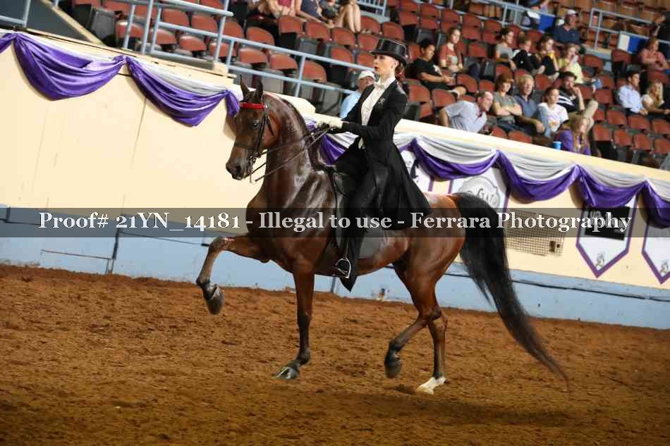 Proof Number 21YN_14181