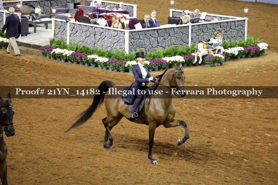 Proof Number 21YN_14182