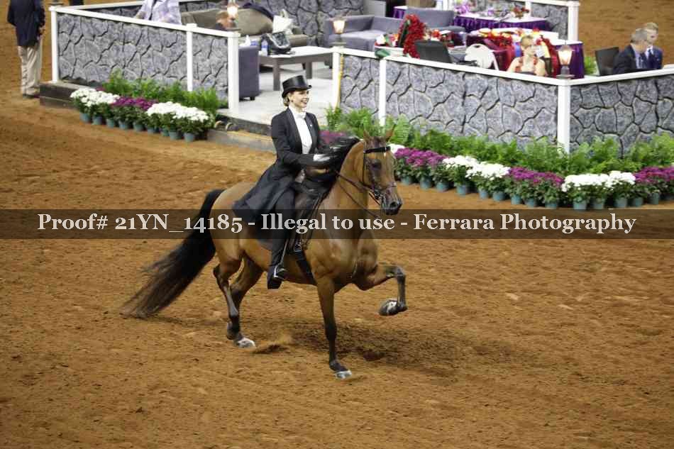 Proof Number 21YN_14185