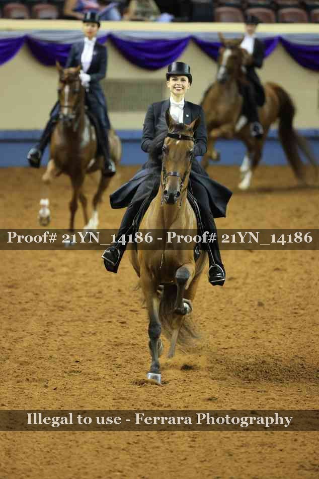 Proof Number 21YN_14186