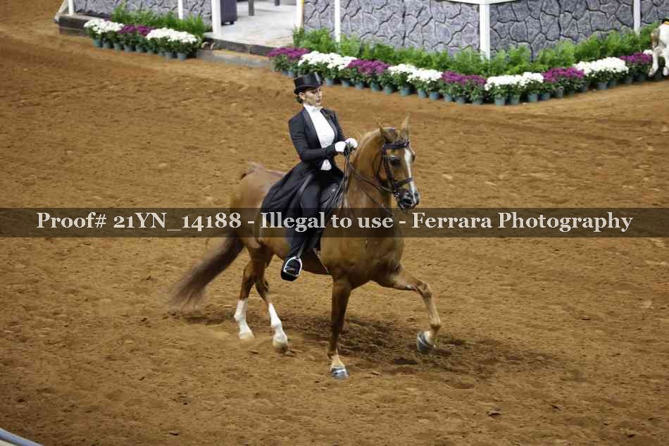 Proof Number 21YN_14188