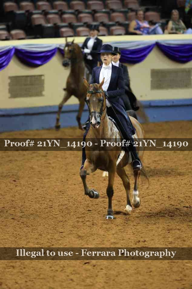 Proof Number 21YN_14190