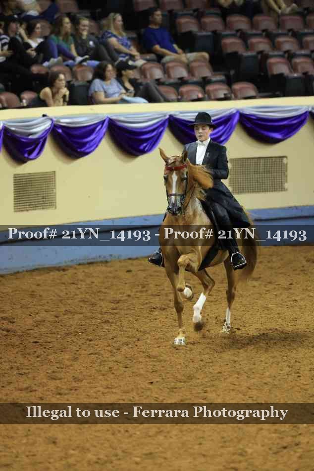 Proof Number 21YN_14193