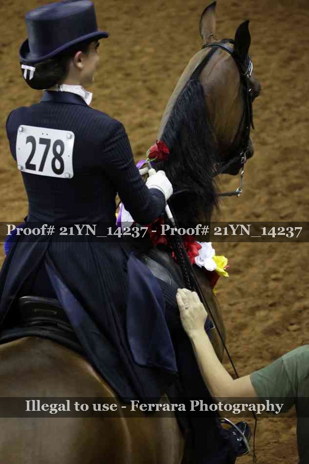 Proof Number 21YN_14237