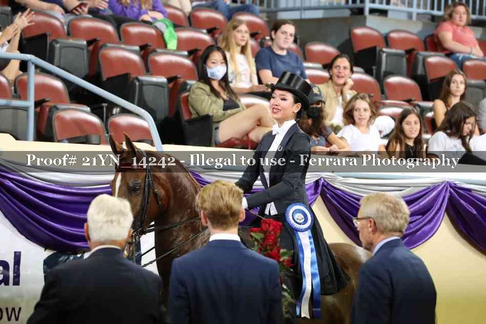 Proof Number 21YN_14242