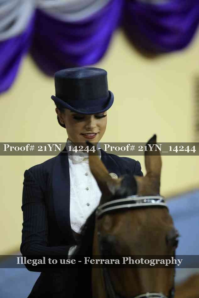 Proof Number 21YN_14244