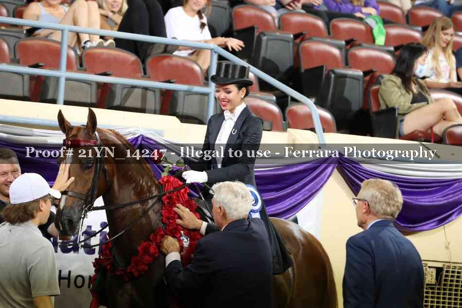 Proof Number 21YN_14247