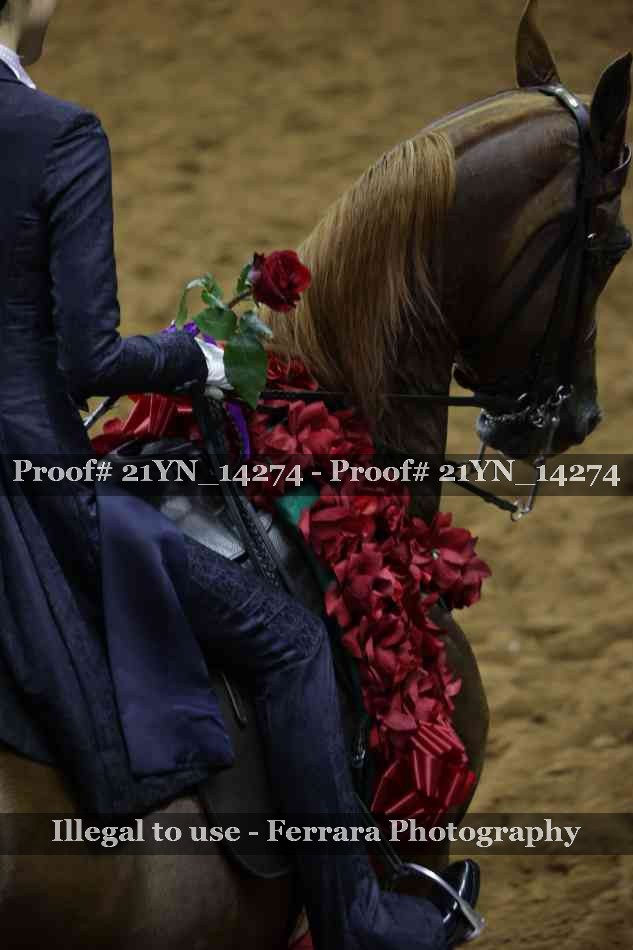 Proof Number 21YN_14274