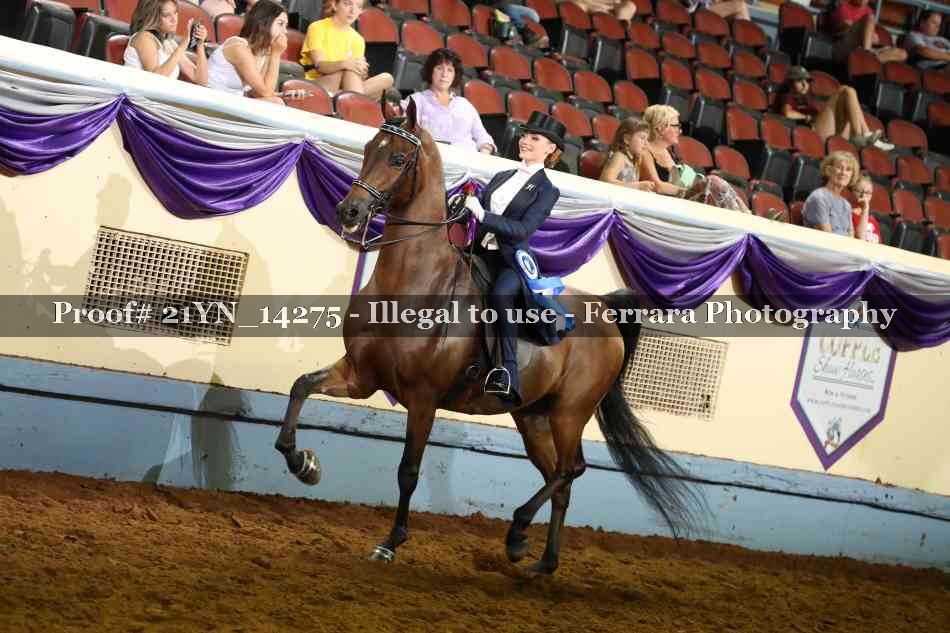 Proof Number 21YN_14275