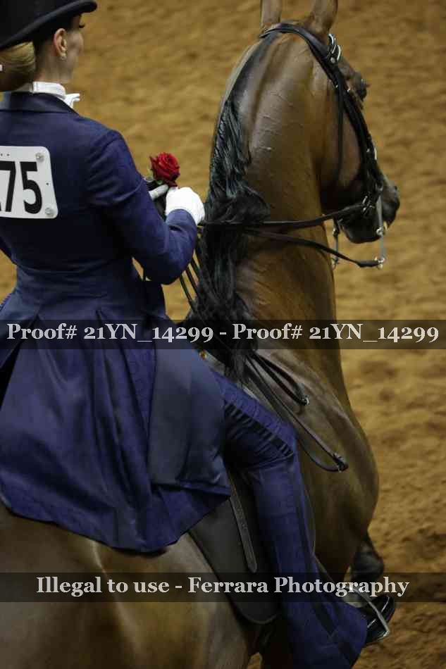 Proof Number 21YN_14299