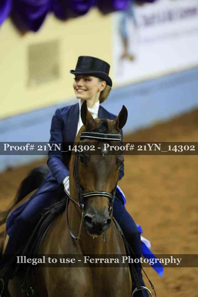 Proof Number 21YN_14302