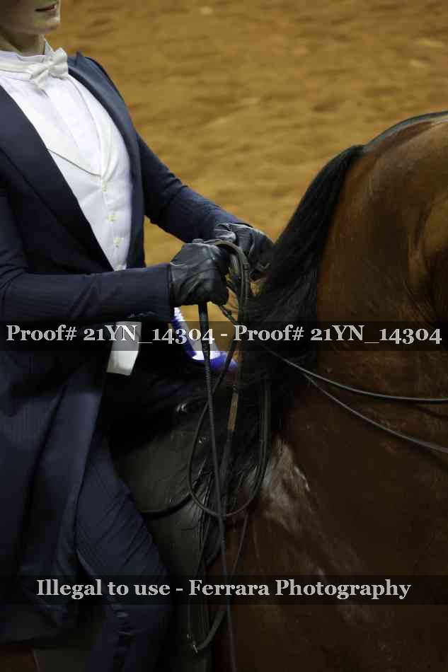 Proof Number 21YN_14304