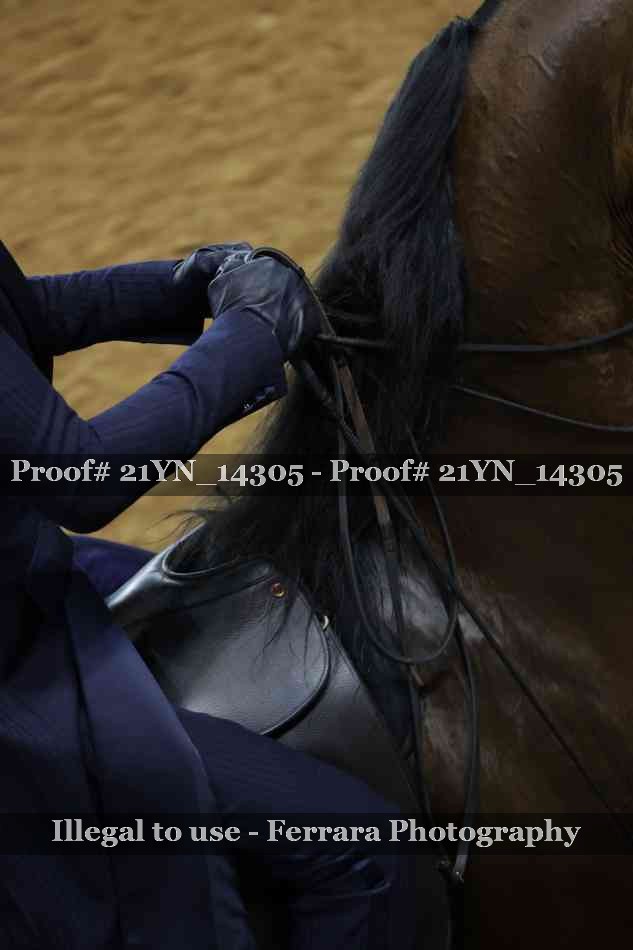 Proof Number 21YN_14305