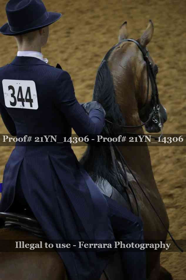 Proof Number 21YN_14306