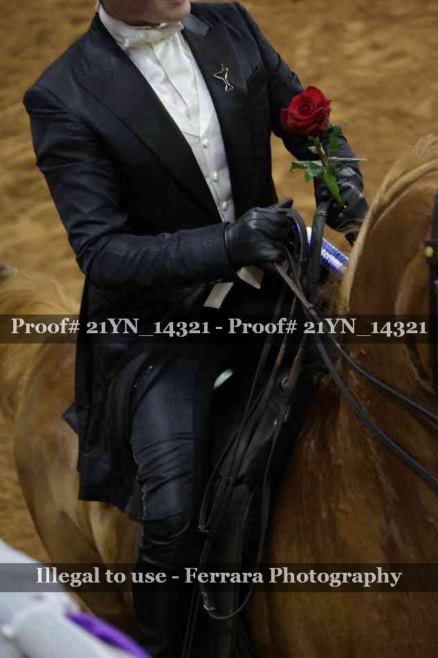 Proof Number 21YN_14321
