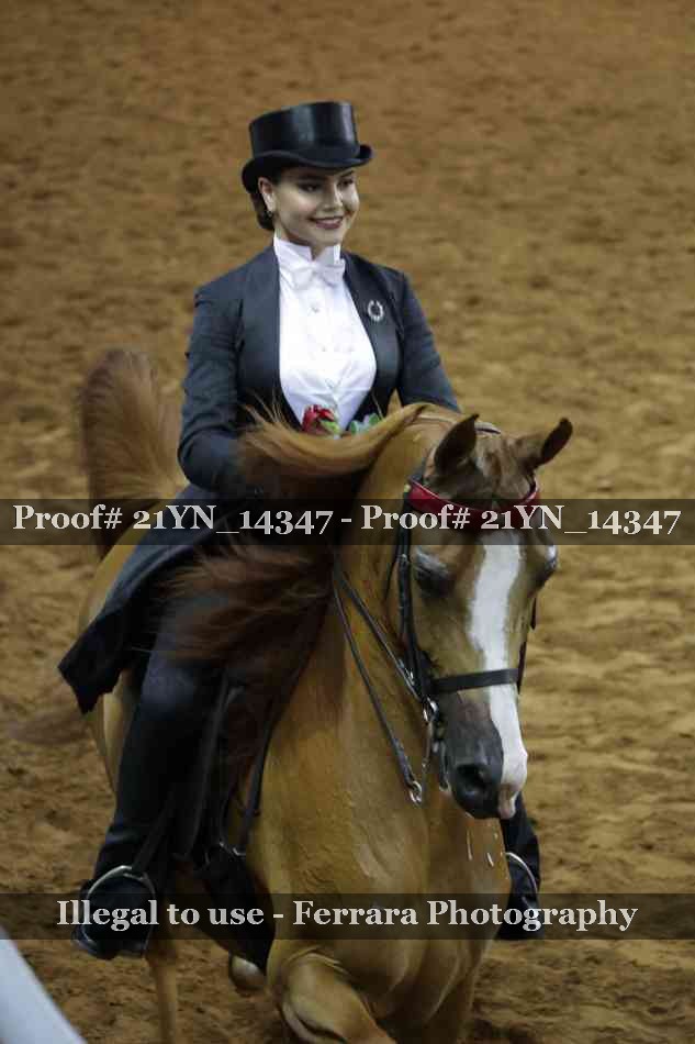Proof Number 21YN_14347