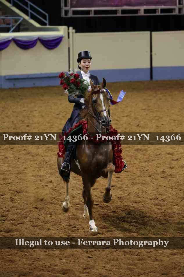 Proof Number 21YN_14366