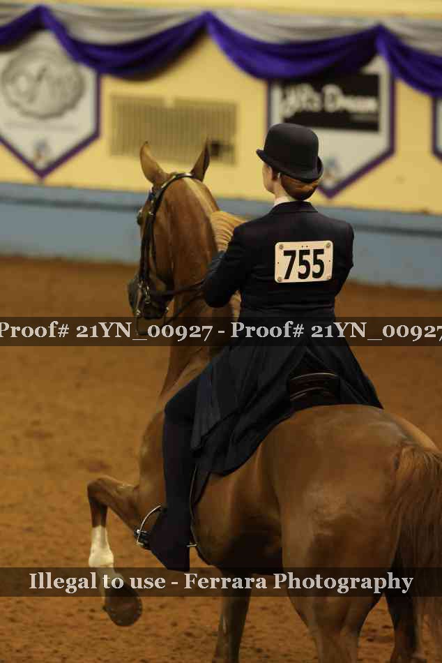 Proof Number 21YN_00927