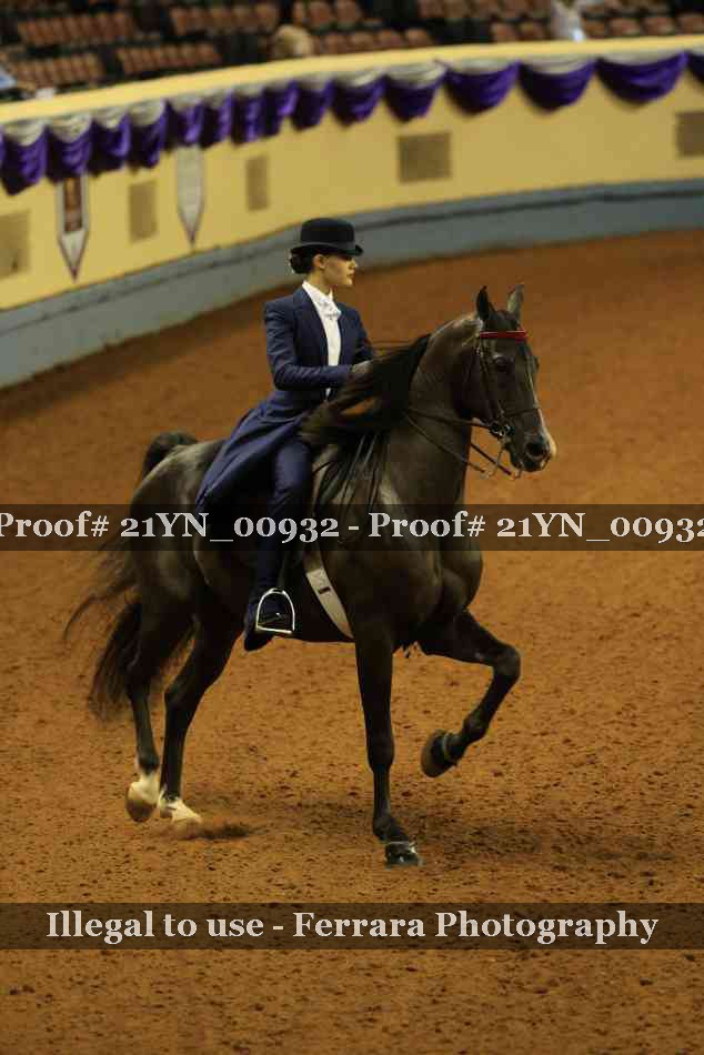 Proof Number 21YN_00932