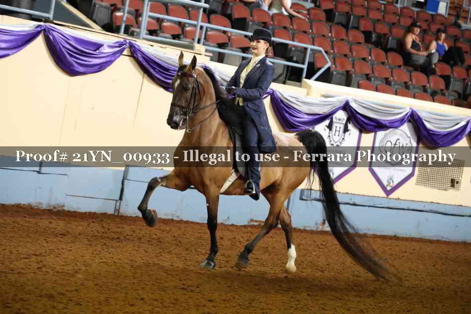 Proof Number 21YN_00933